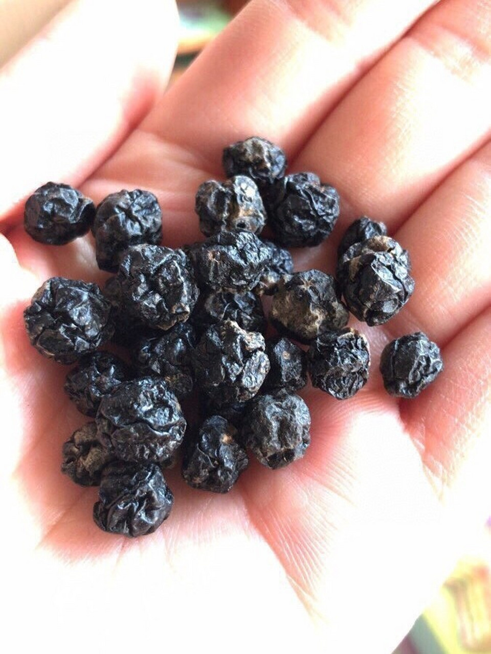 正品俄罗斯黑果 正品俄罗斯黑果 9396俄罗斯小黑果一袋100克糖尿