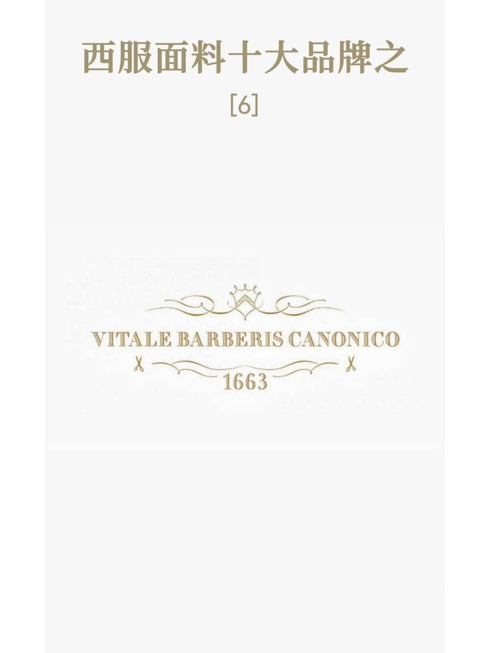 西装面料品牌| 维达莱 vbc9799 vitale barberis