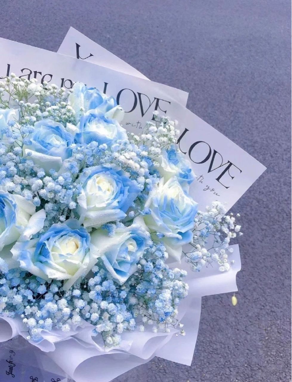 99顺丰冷链包邮 	 9494碎冰蓝玫瑰的花语是因为在爱你的每一天