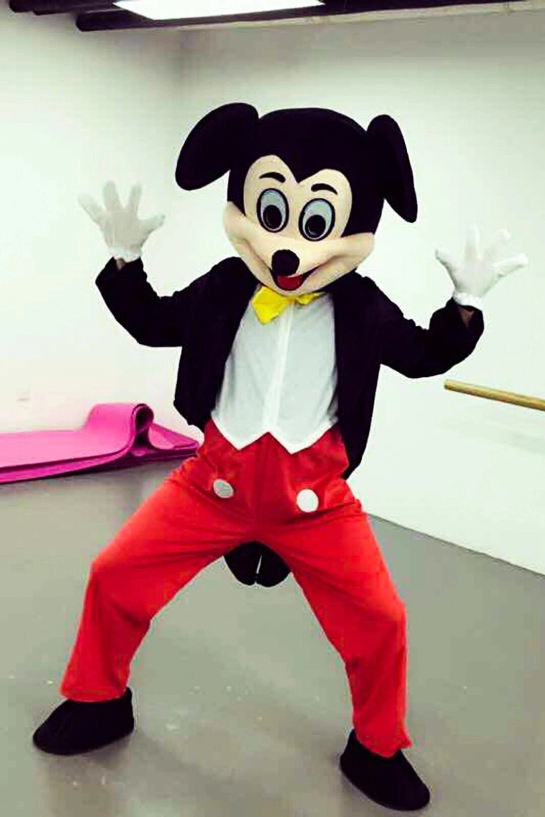 米老鼠卡通人偶服装米奇米妮行走人玩偶道具