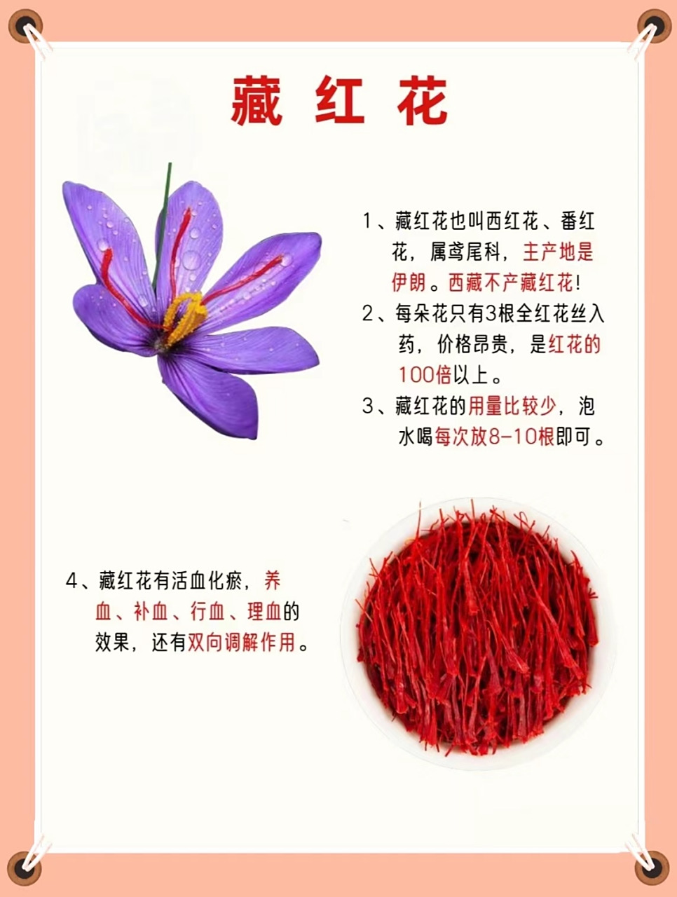 1⃣️植物属性: 	 红花为菊科,而藏红花为