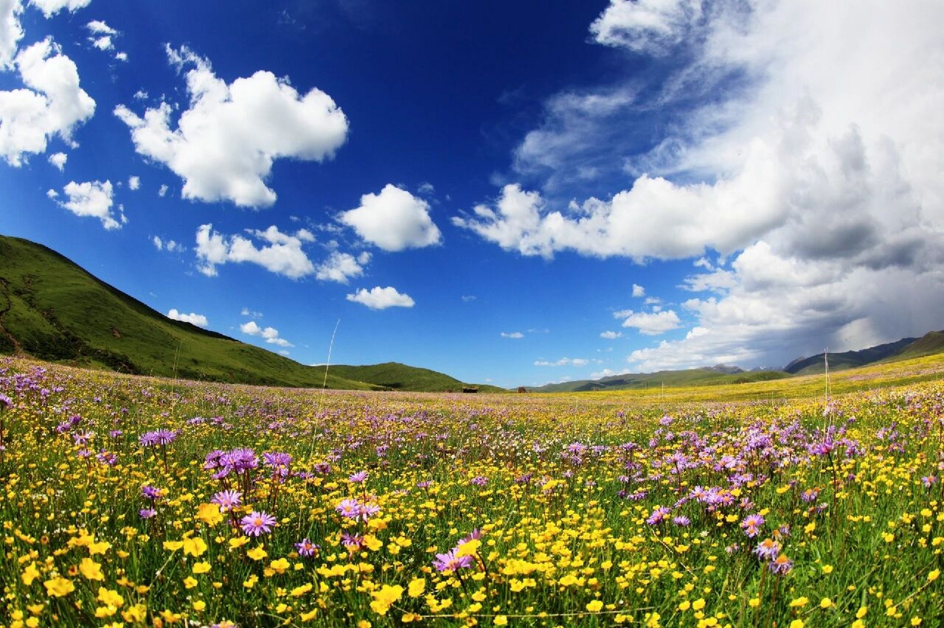 2022年四川草原花海|俄么塘旅游路线攻略 9696不要让生活耗尽了