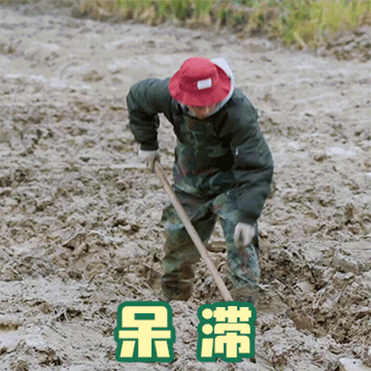 种地吧表情包大赛# 小种子来参赛啦!速速来斗图