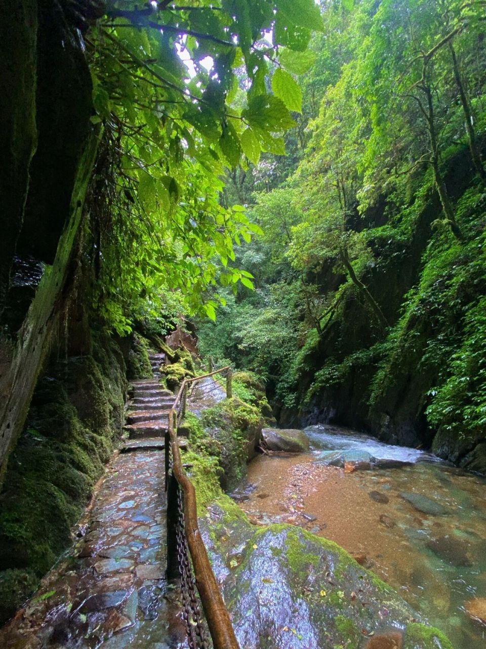 石门峡|哀牢山的绿宝石 "碧潭映翠岩,落照穿幽谷"这句诗用来形容石门