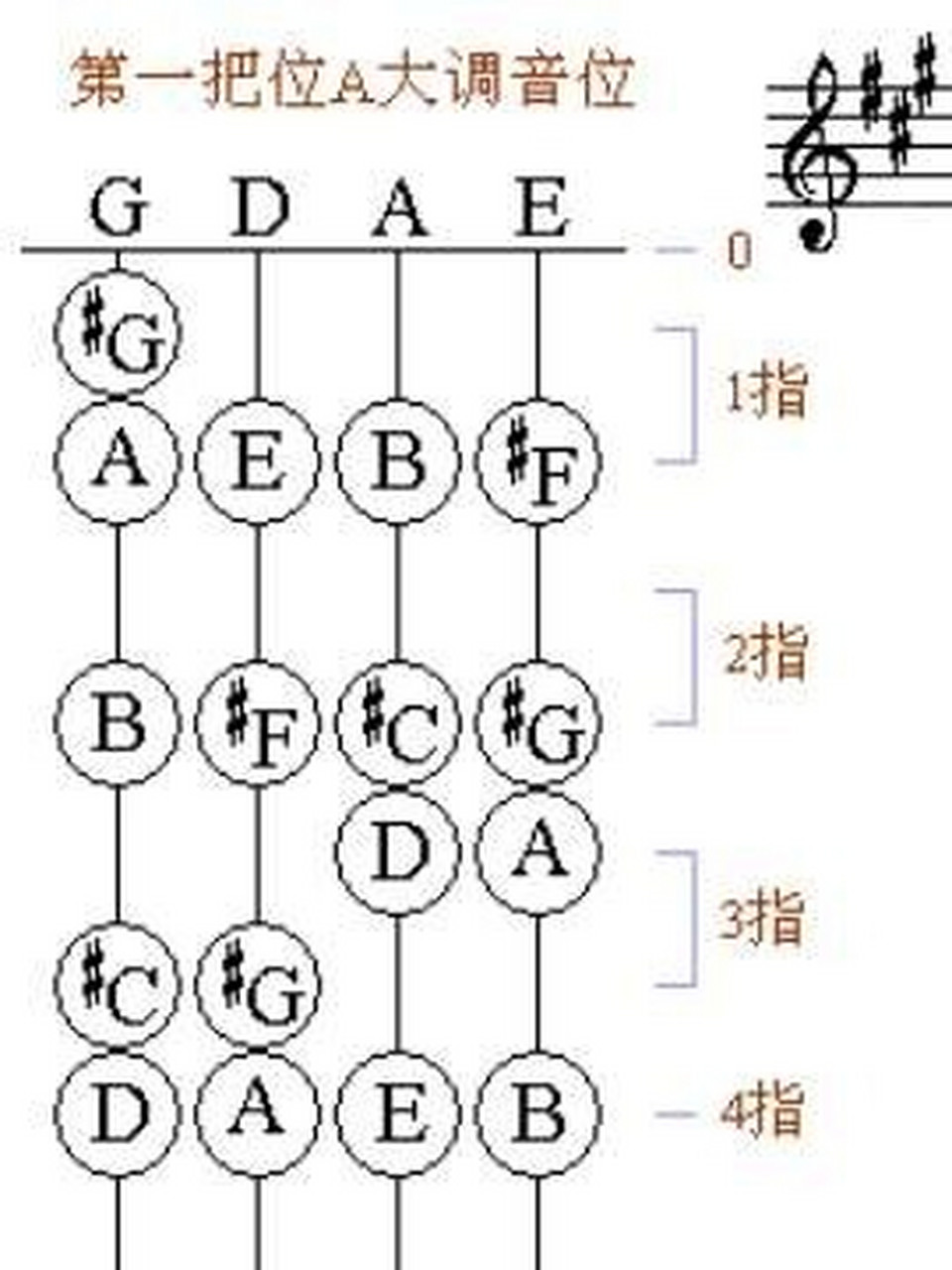 g大调音阶小提琴图片