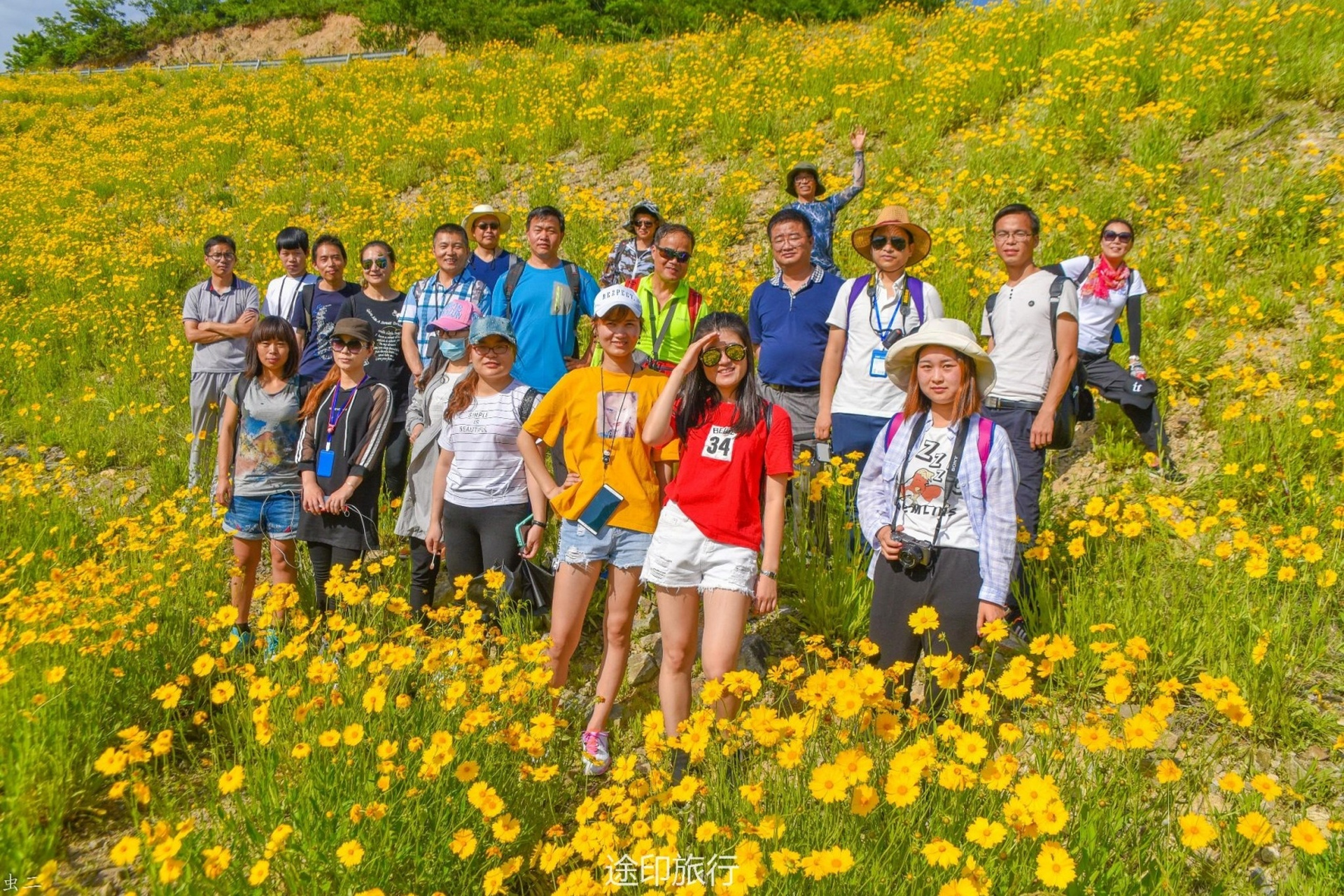 鄞州最美风车公路图片