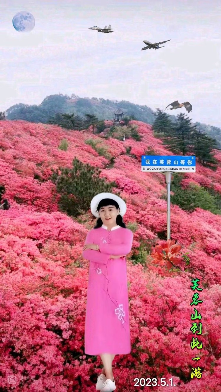 营口芙蓉山杜鹃花图片