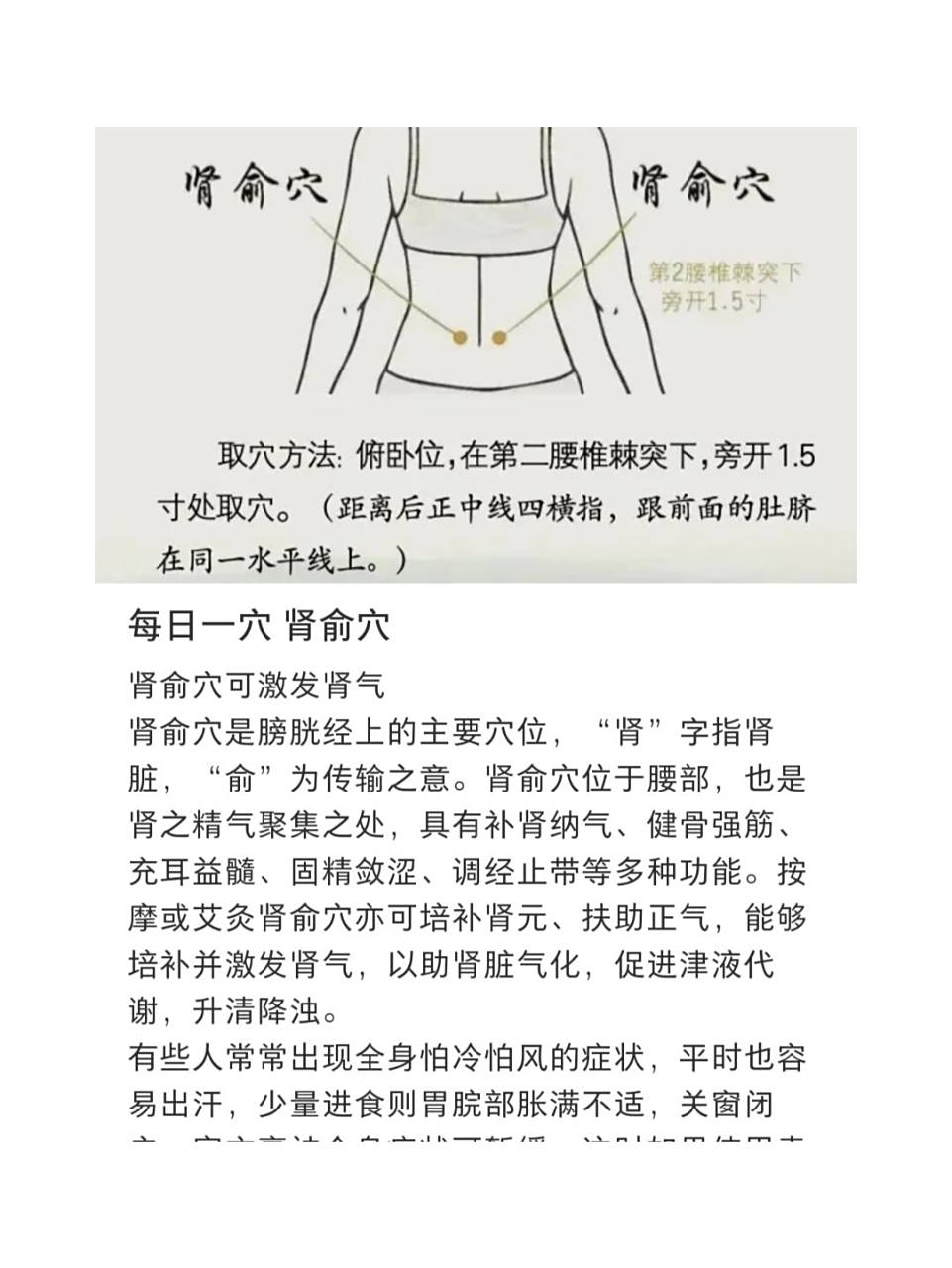 肾俞穴(肚脐后侧,旁开我1.5寸2指头)