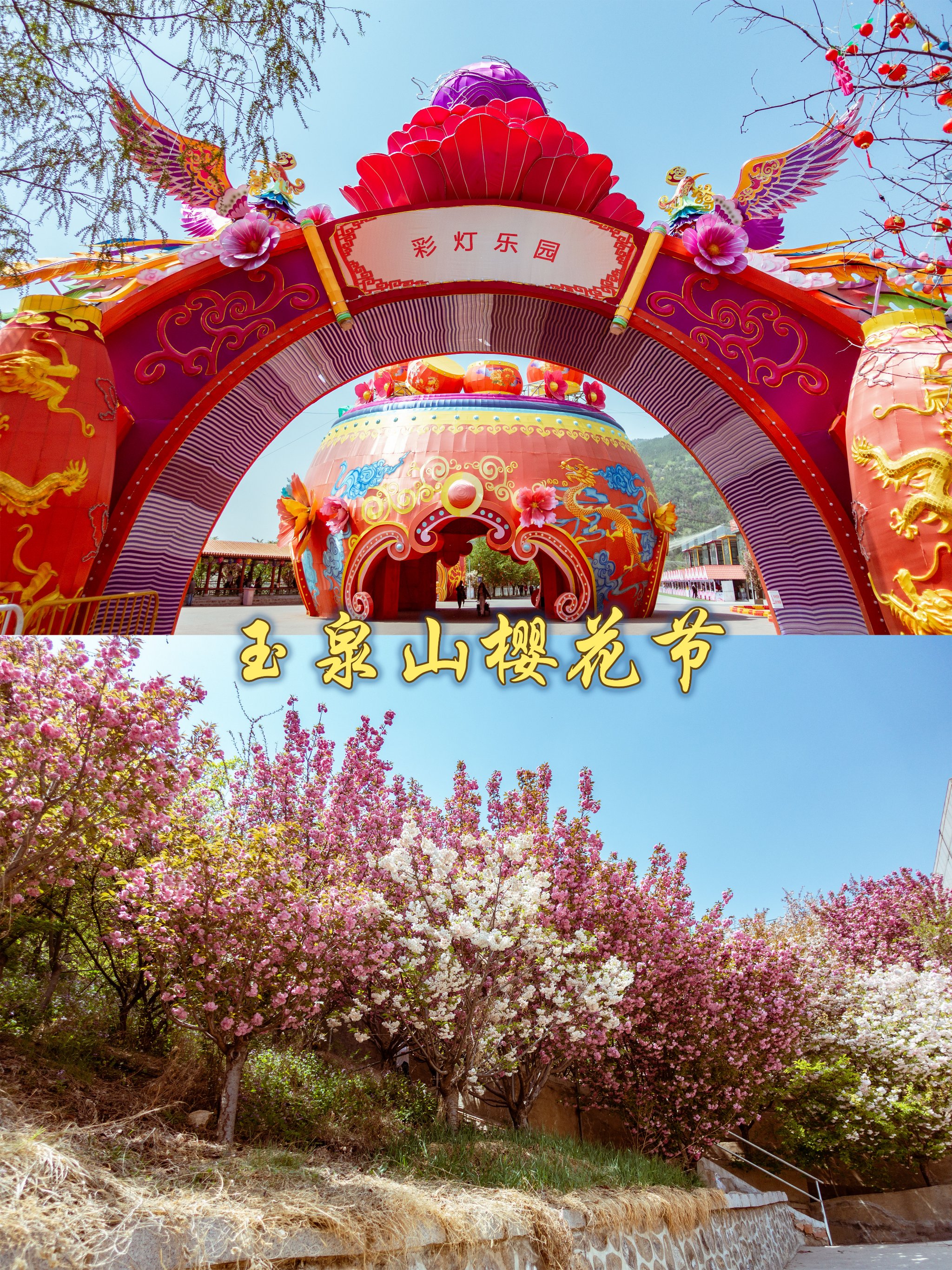 一起来看看太原玉泉山的樱花节和彩灯