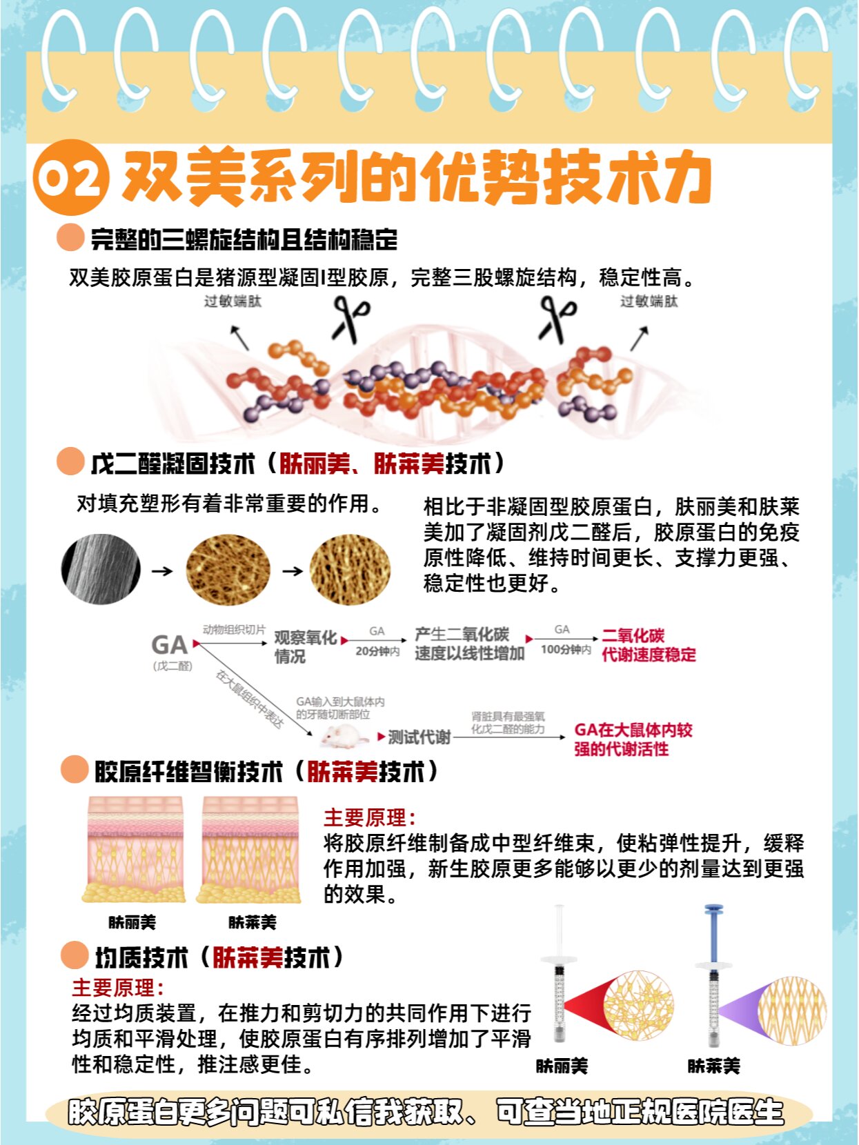 双美胶原蛋白注射层次图片