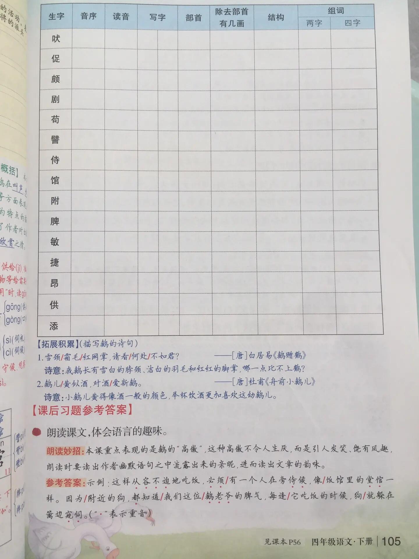 四下《15白鹅》课堂笔记