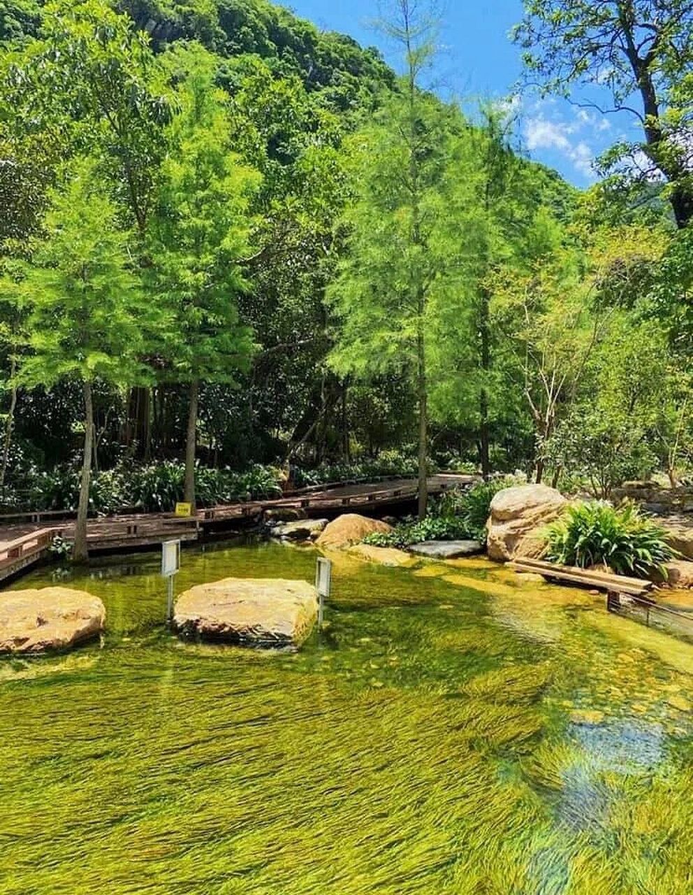 冷泉滩 | 21°c的冰爽夏天  韶关周边游(翁源龙仙冷泉滩) 夏天的酷暑