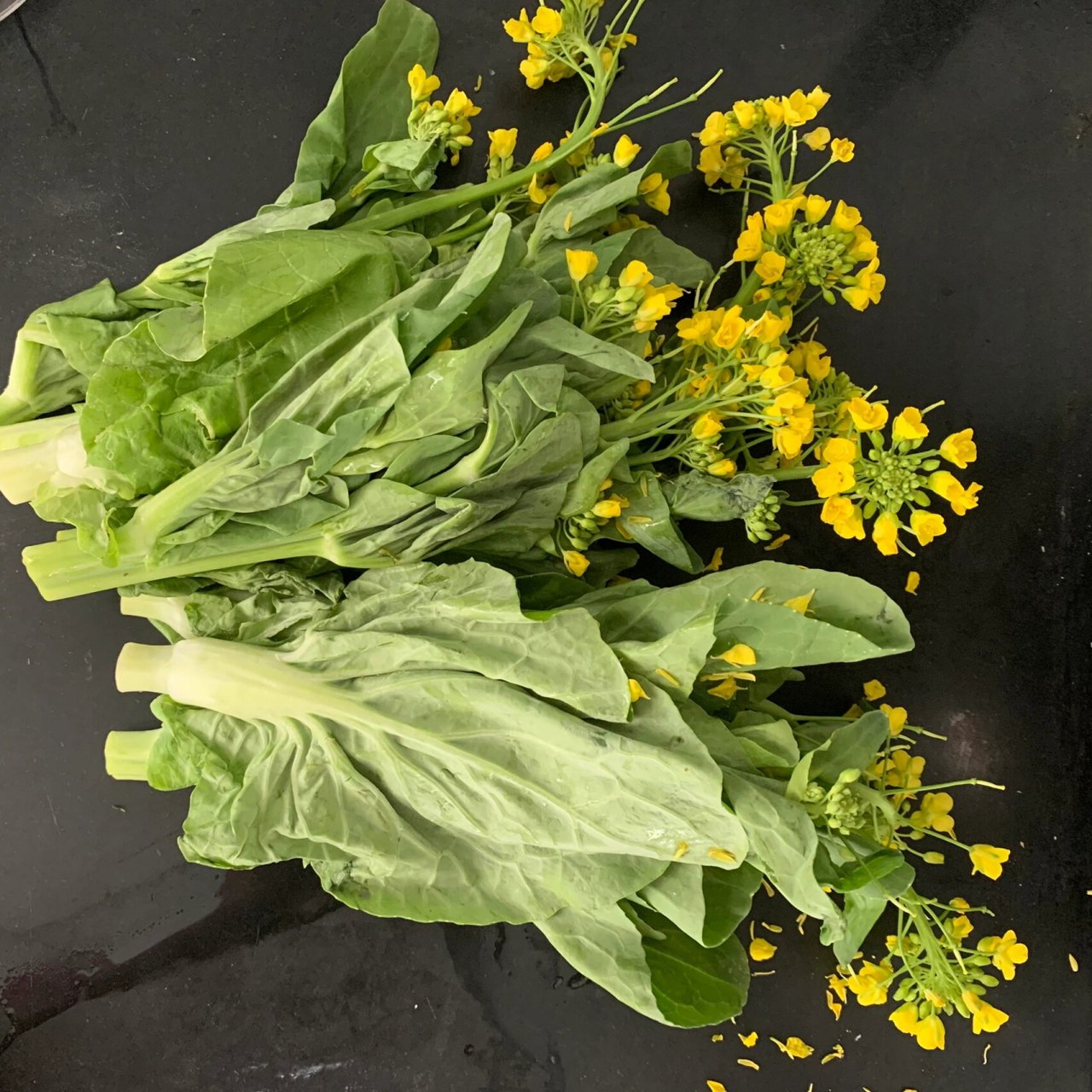 这个叫菜心?油菜花?那这个花可以吃吗?