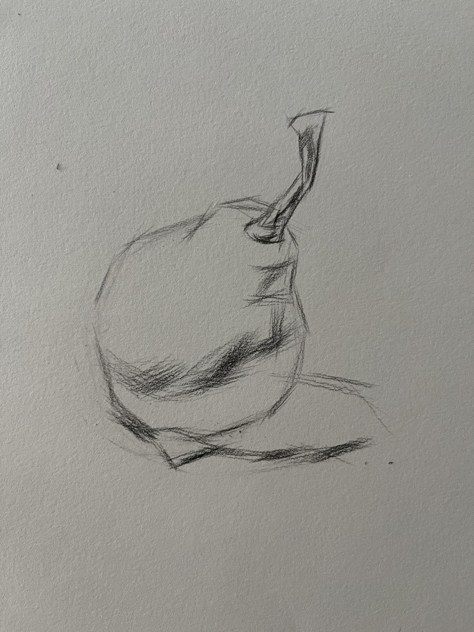 素描静物梨绘画步骤 素描静物梨绘画步骤