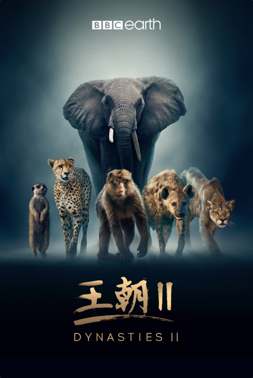 bbc系列纪录片《王朝》第二季 《猕猴特辑》 web-dl.