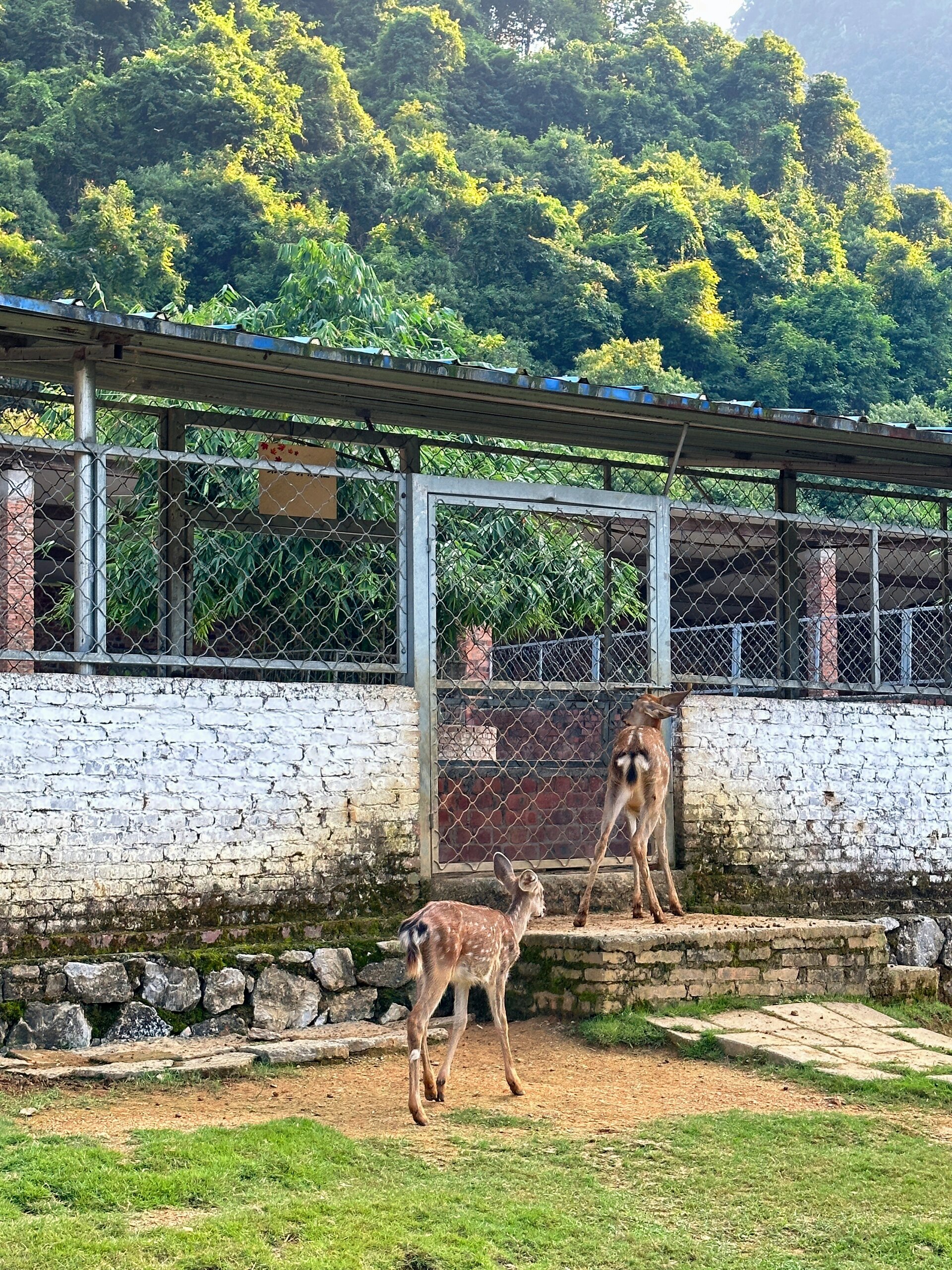 长春鹿鸣谷景区门票图片