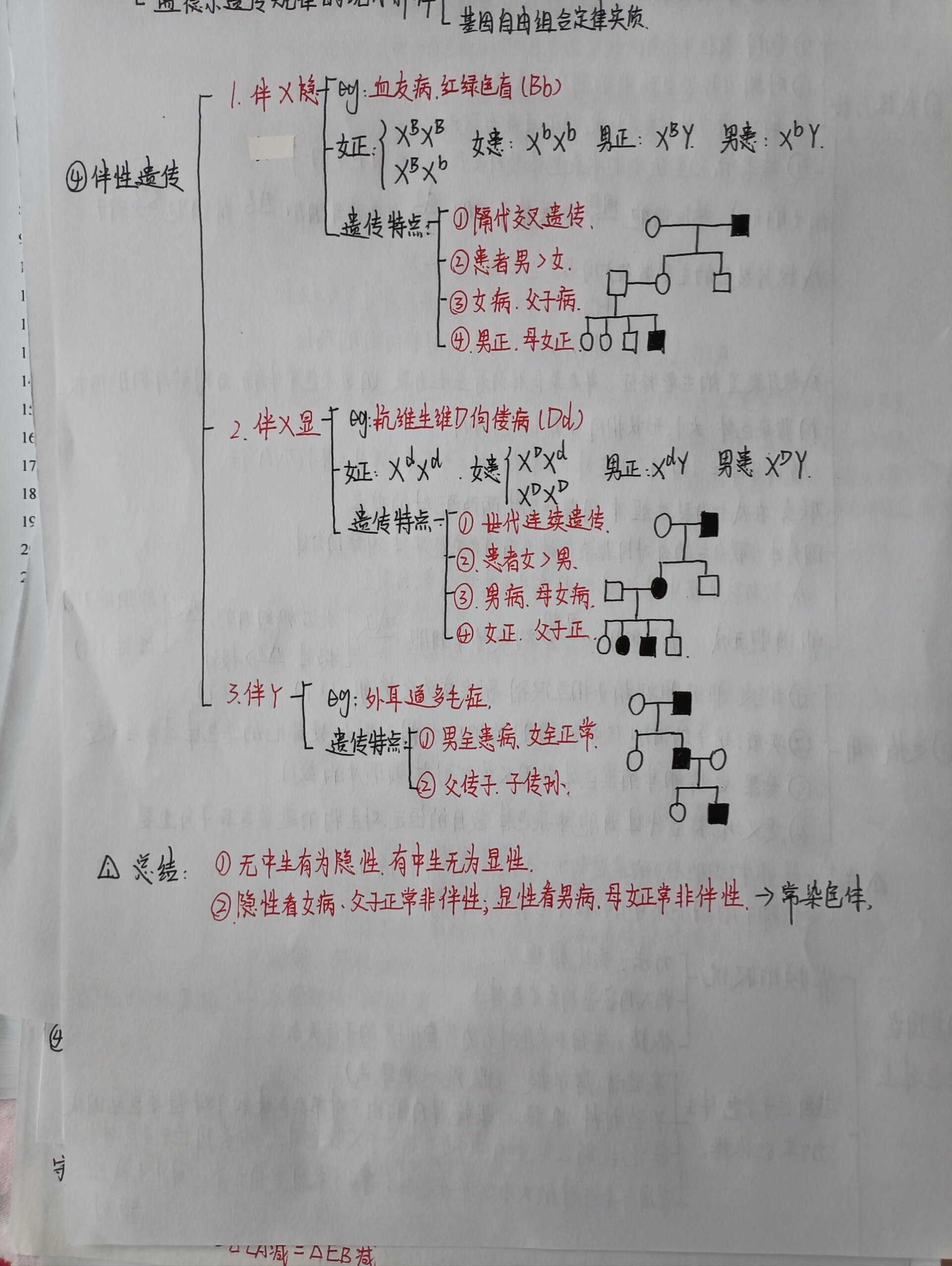 高一生物必修二第二章思维导图 第二章 基因和染色体的关系