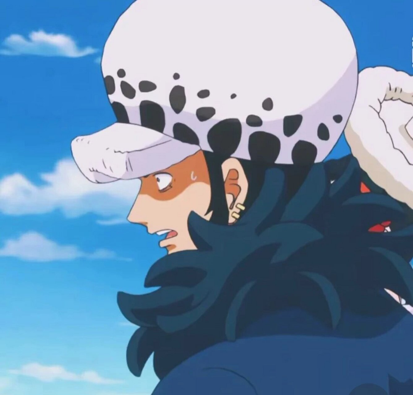 海贼王罗头像 特拉男