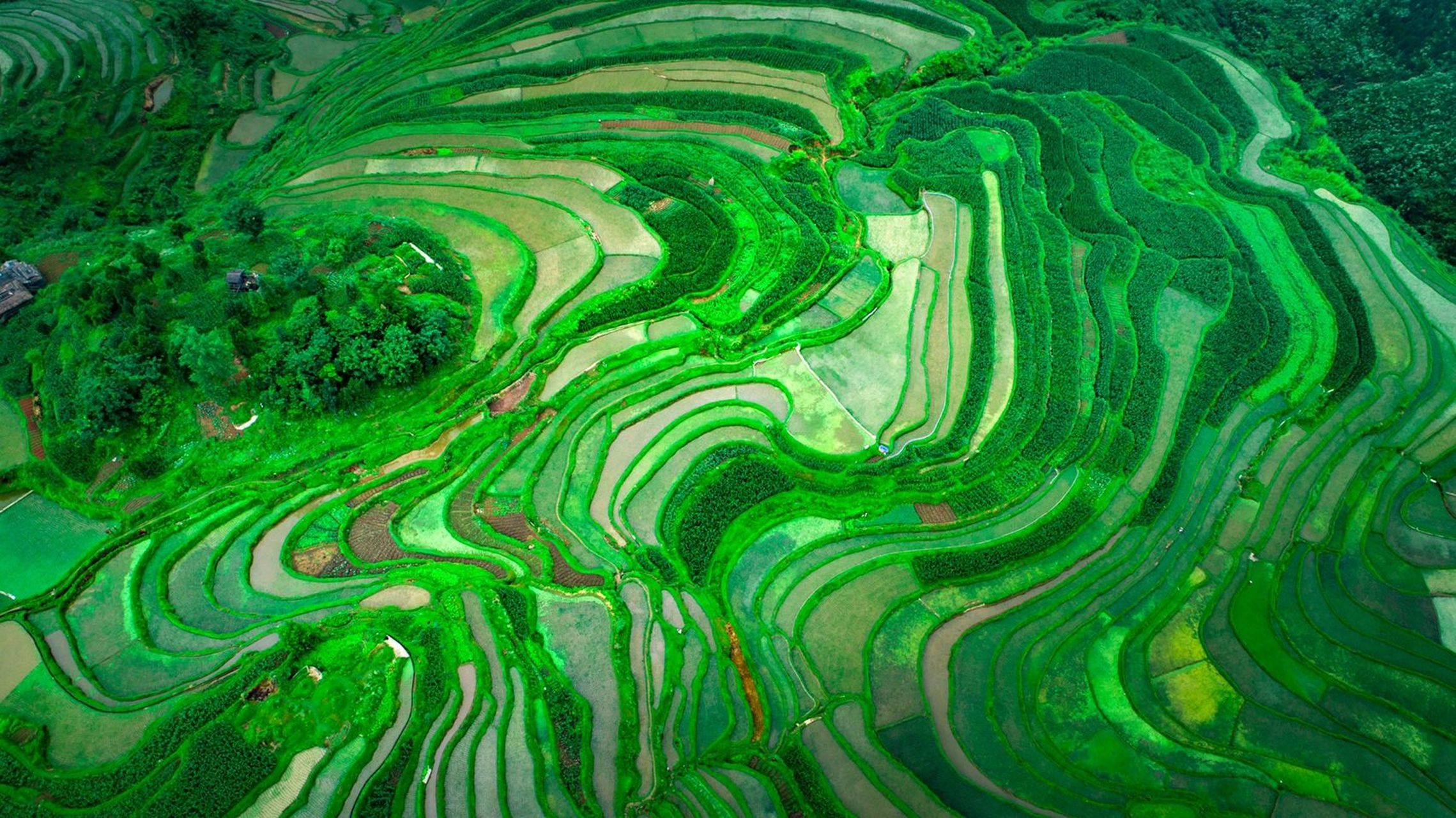 贵州十大最美梯田～丹寨高要梯田 高要梯田,位于贵州省丹寨县高要村.