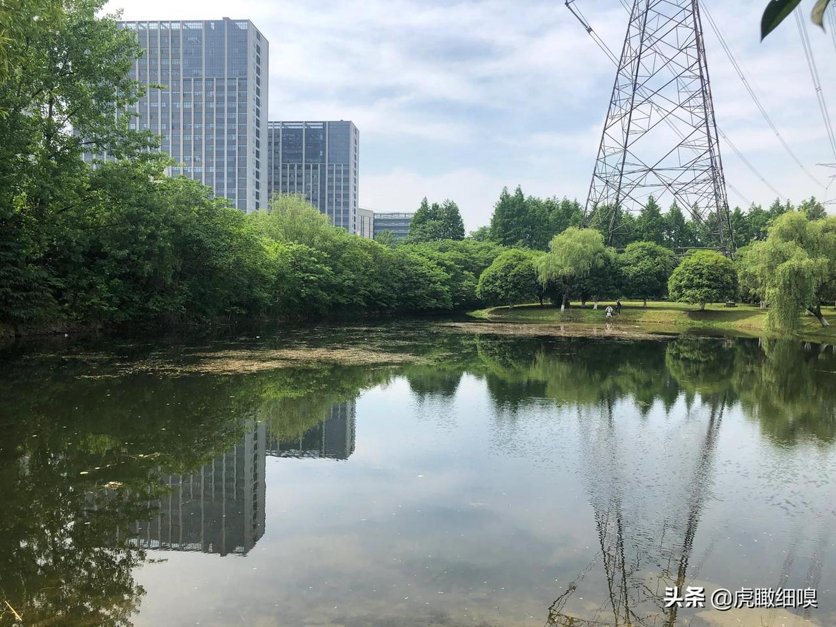 杭州下沙沿江湿地公园图片