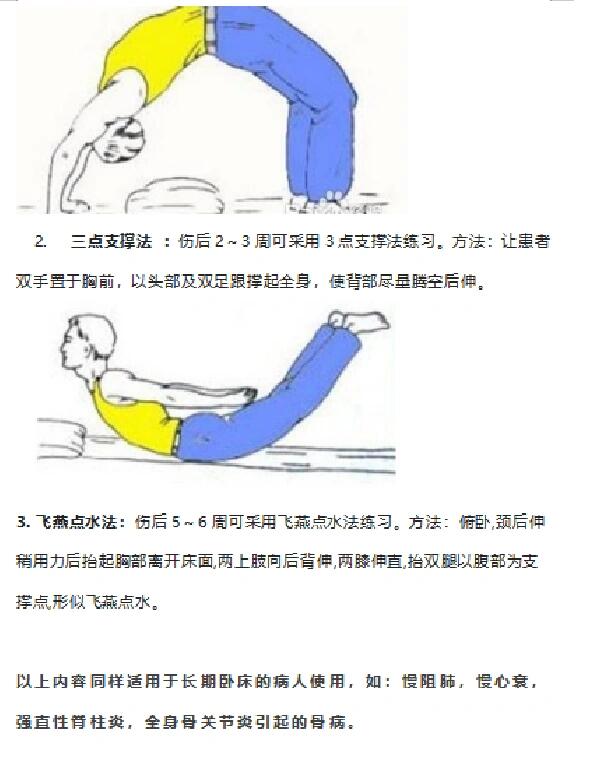 腰椎骨折功能锻炼图片图片