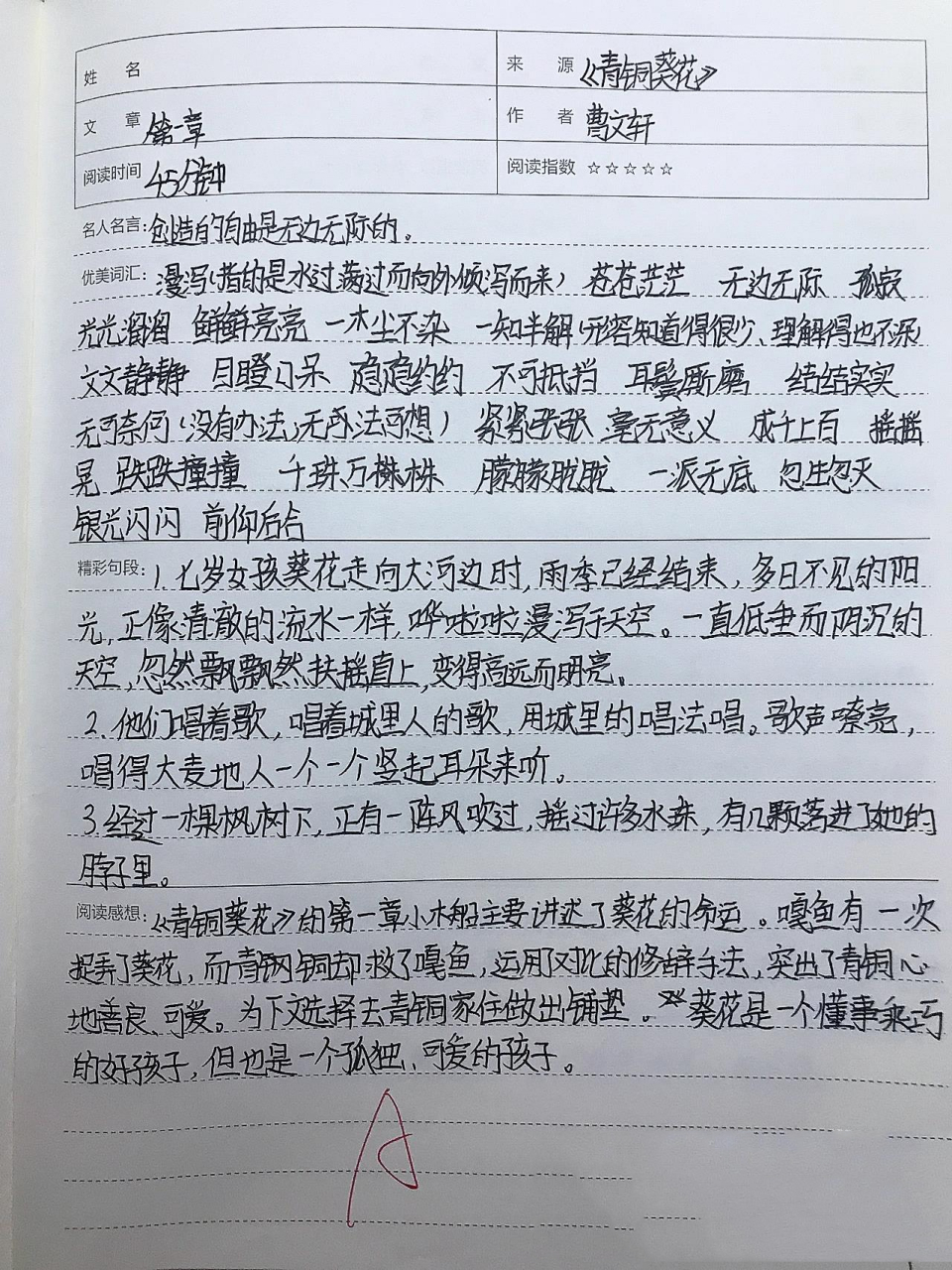 《青铜葵花》读书笔记 第一章 《青铜葵花》读书笔记 第一章
