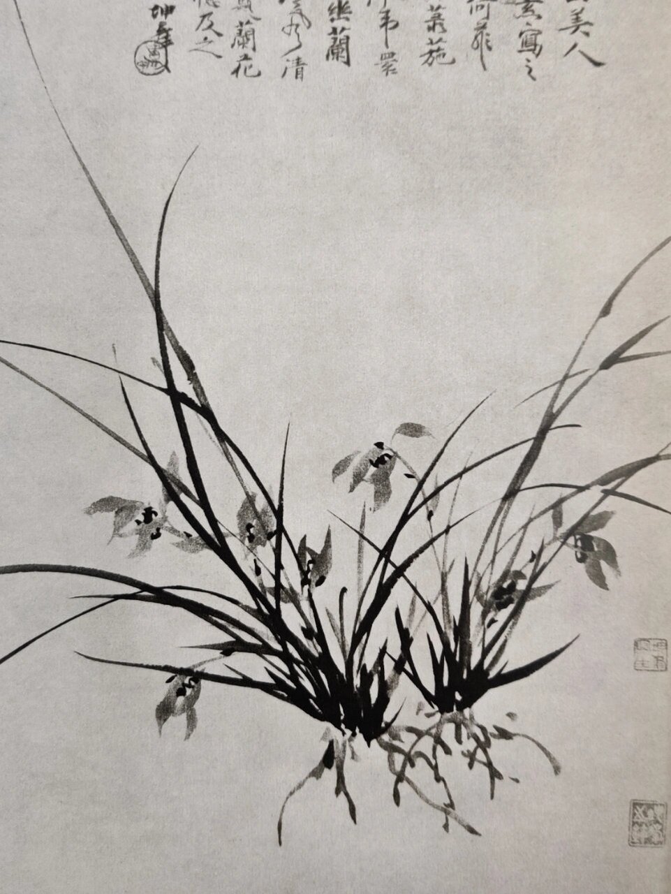 兰花的画法|中国美院教授卢坤峰 中国美术学院教授卢坤峰出的《墨兰说