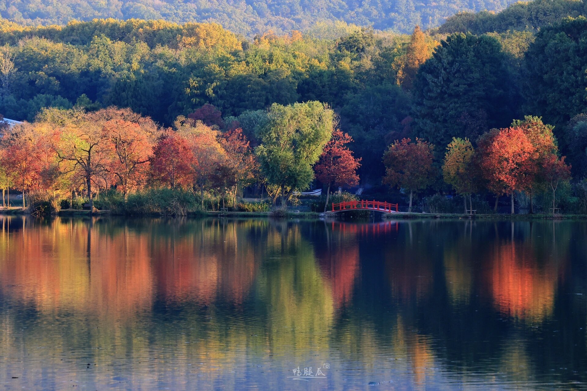 大自然对秋天的偏爱93 在南京前湖公园展现的淋漓尽致!