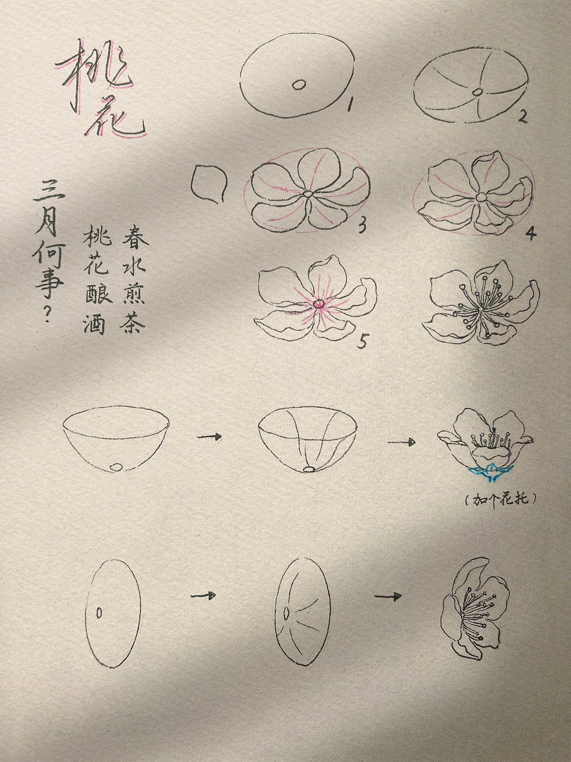 学会画桃花了!这个方法画花超好用0599