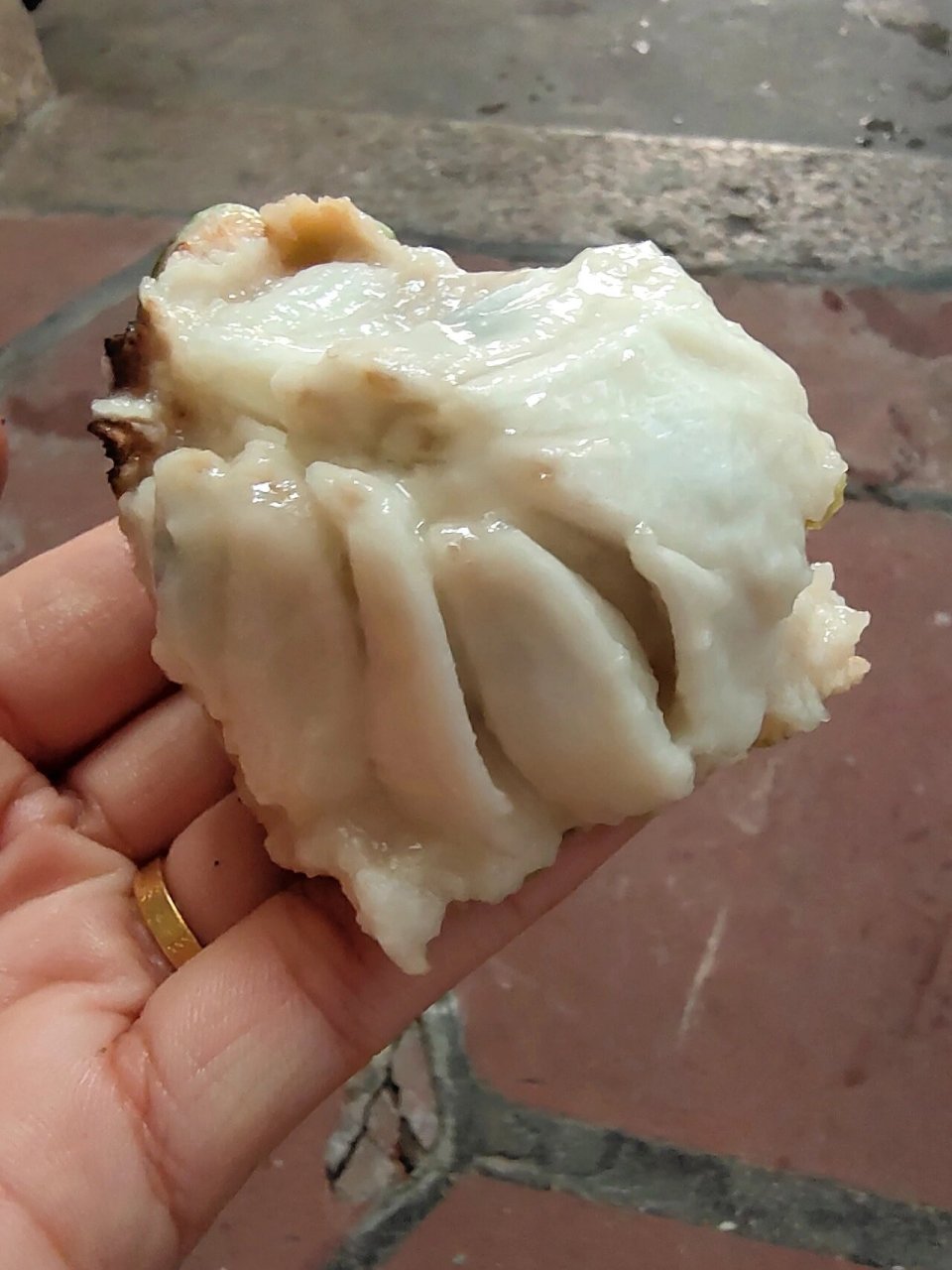 第一次买释迦果,打开这样是坏了吗 今天在路边买的果子,那个阿姨说