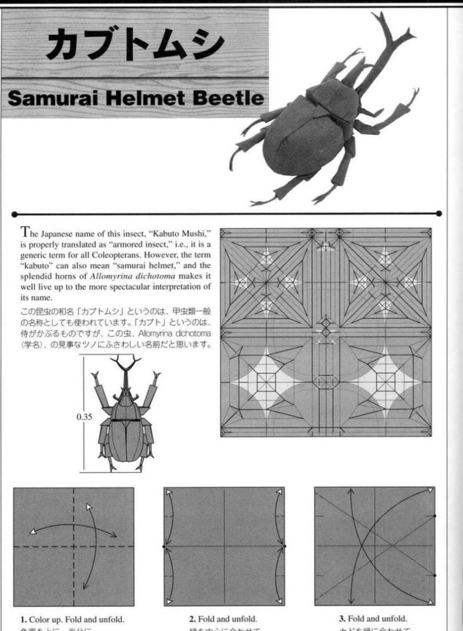 折纸教程——大独角仙 用纸:35cm52g生态纸 设计:罗伯特朗 折制:执纸
