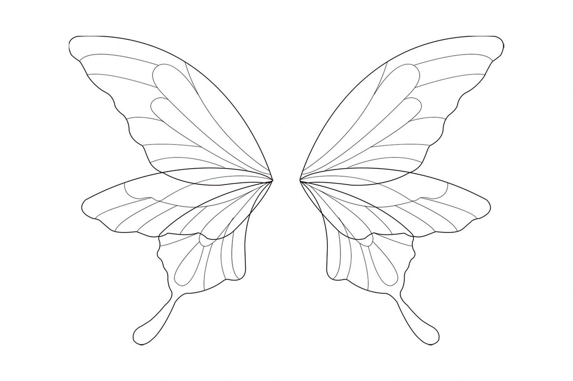 蝴蝶翅膀简笔画花纹图片