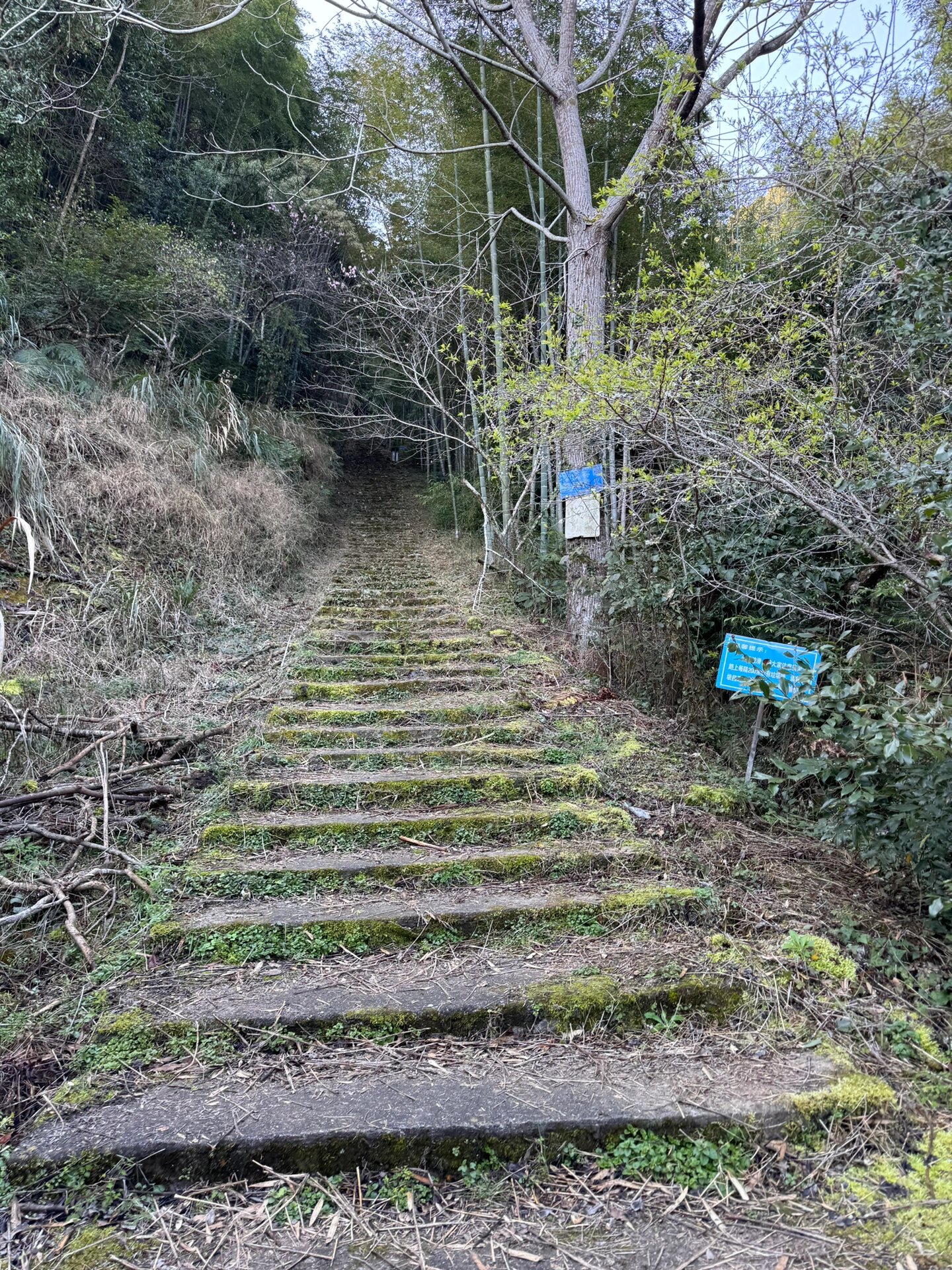 龙川|七峰山七目嶂