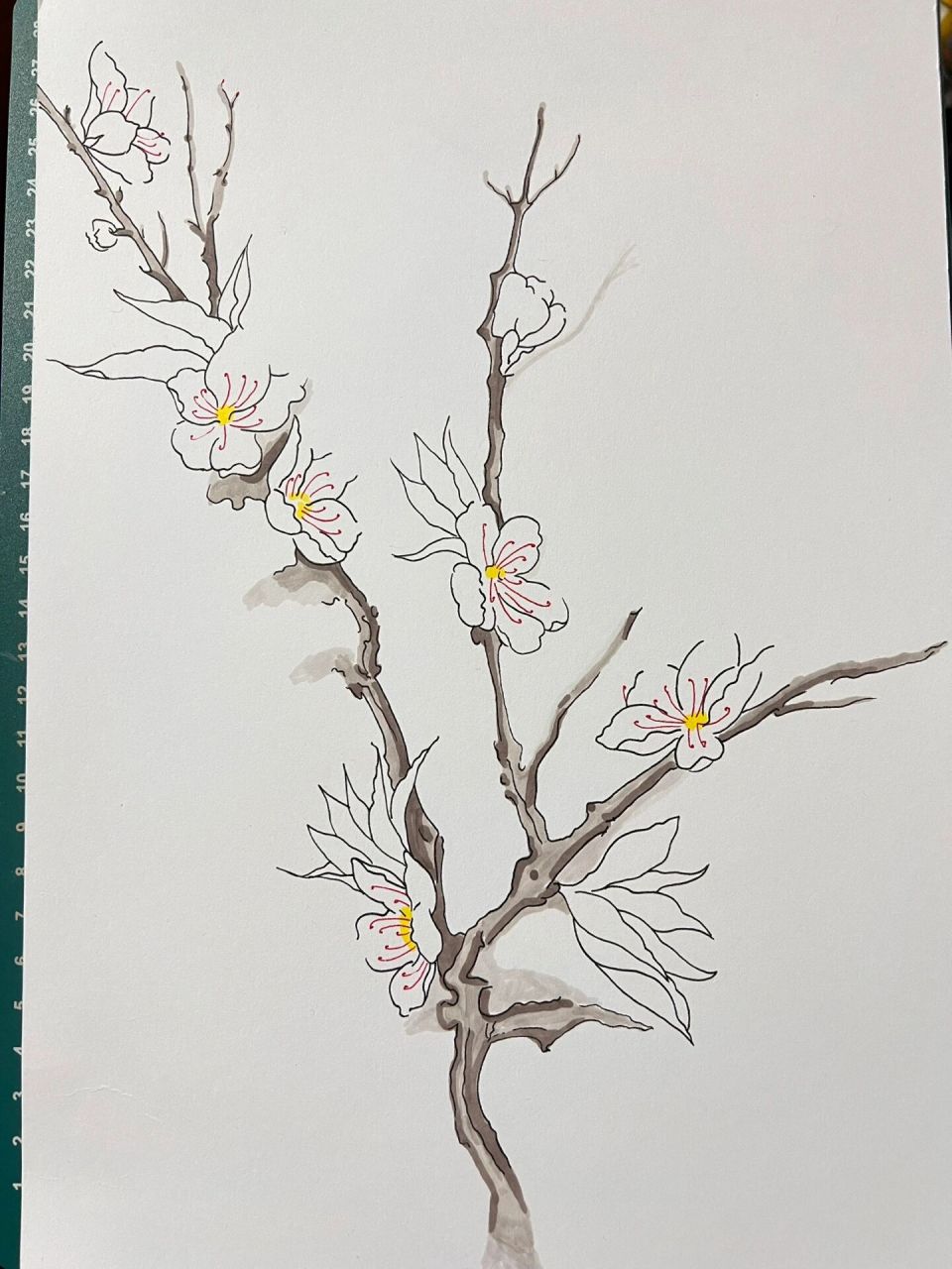 马克笔手绘 梅花 附步骤图