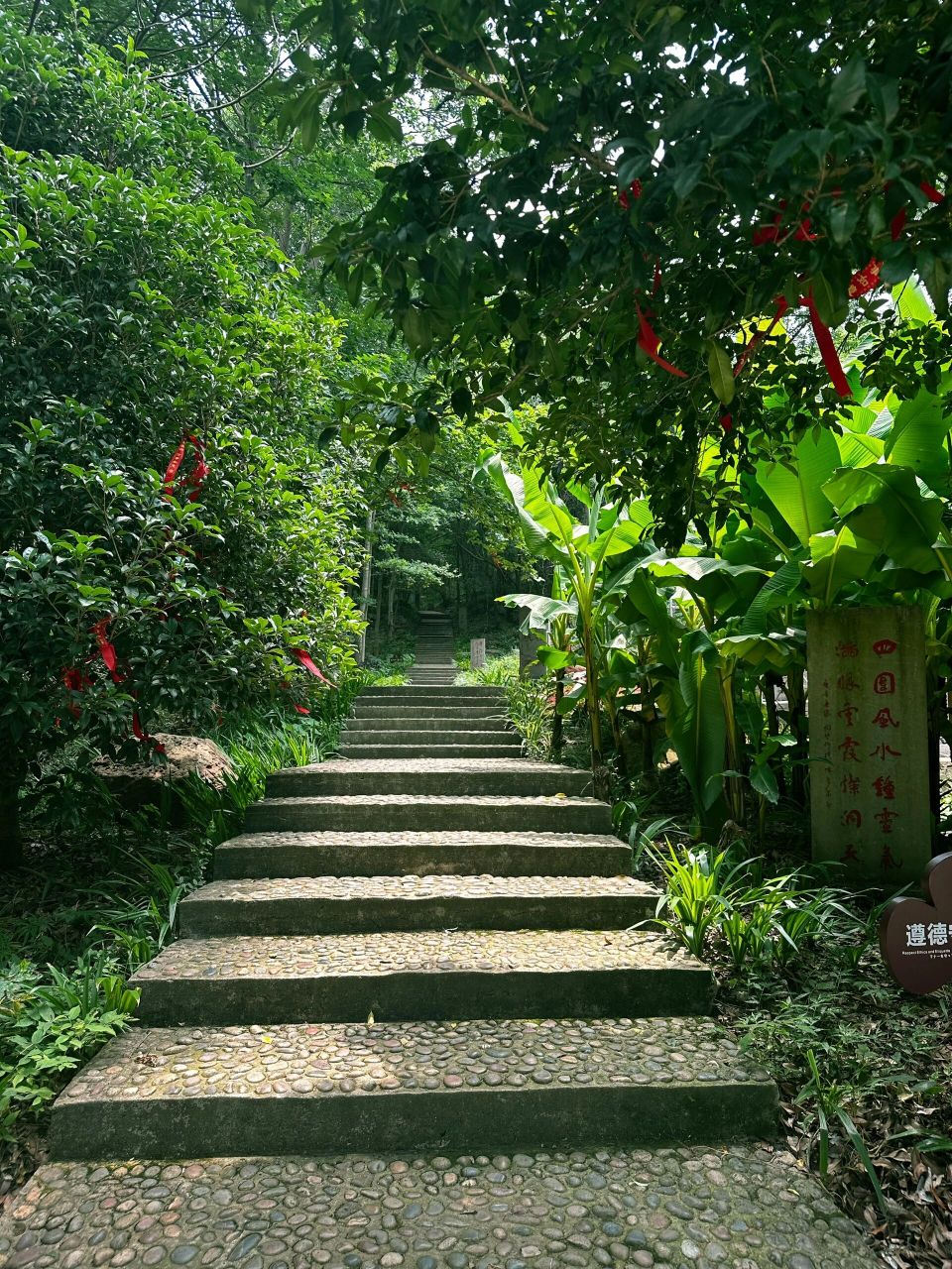 荆门太子山国家森林公园 | 太子山生态旅游 🔜游玩线路:王莽洞探险(