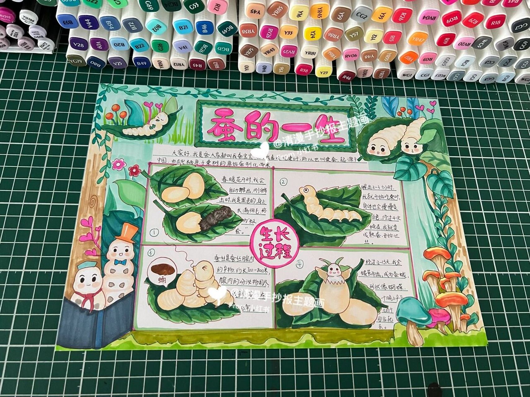 蚕的一生手抄报 自然笔记小报 昆虫观察小报 蚕的一生有很多阶段,从
