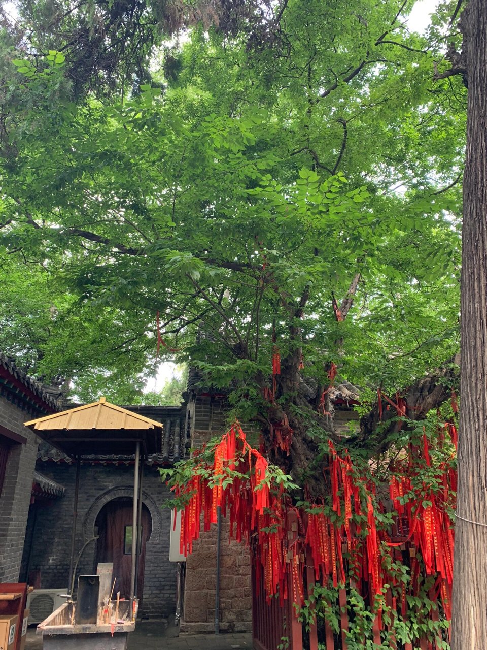山东济宁嘉祥青山寺 青山寺在附近挺有名气,寺庙里外树木葱郁,格外的