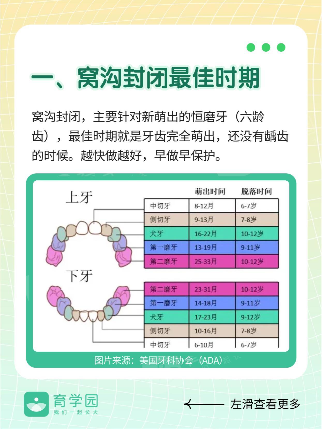 窝沟封闭会掉吗图片