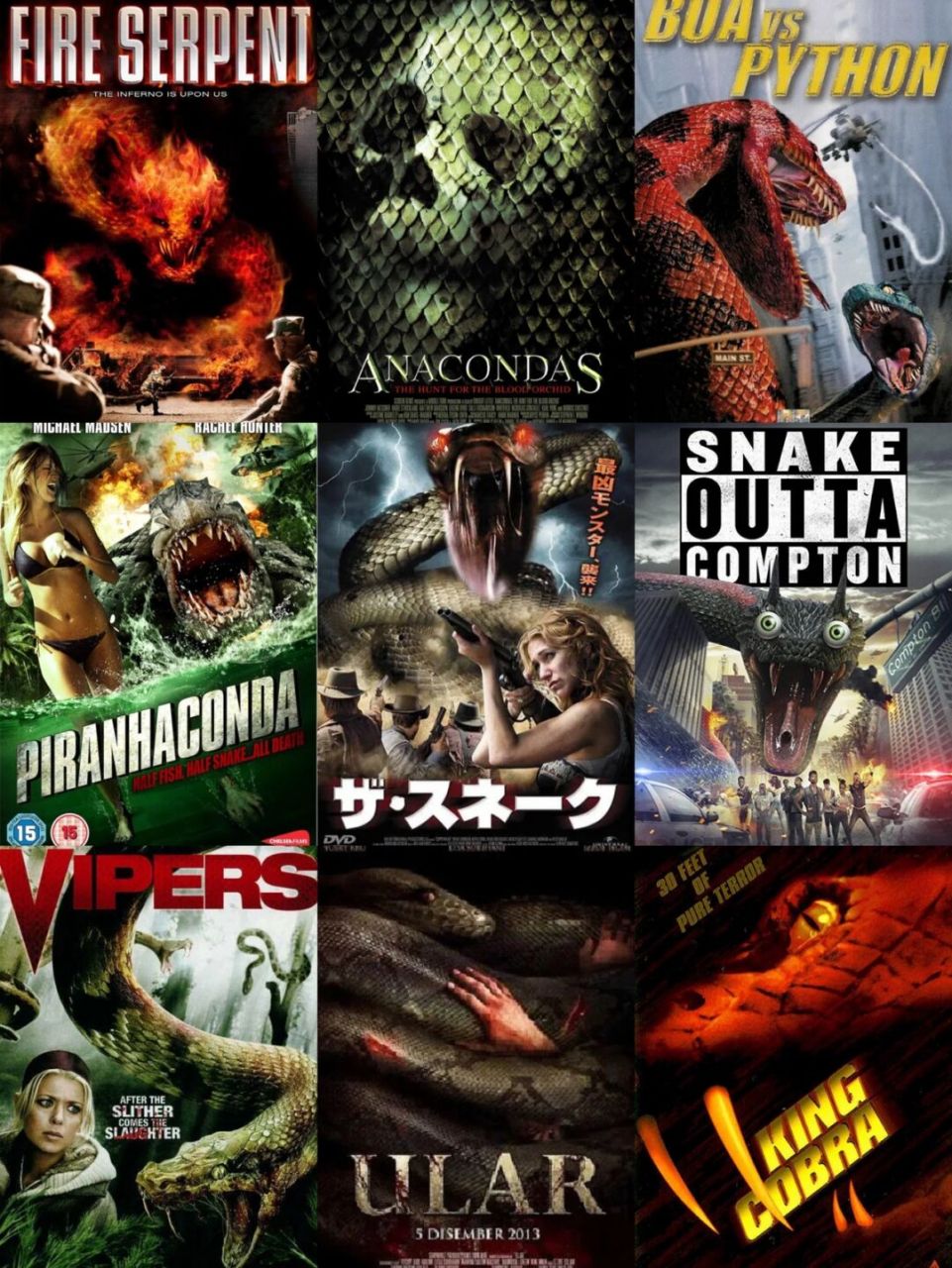 前几期分享过鲨鱼,鳄鱼,食人鱼系列恐怖灾难片的笔记,今天推一期蛇系