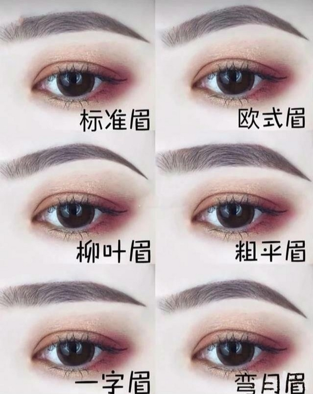 眉毛看一个人的人品性格 1,粗眉的人较男性化,性情积极而好冲动;细眉