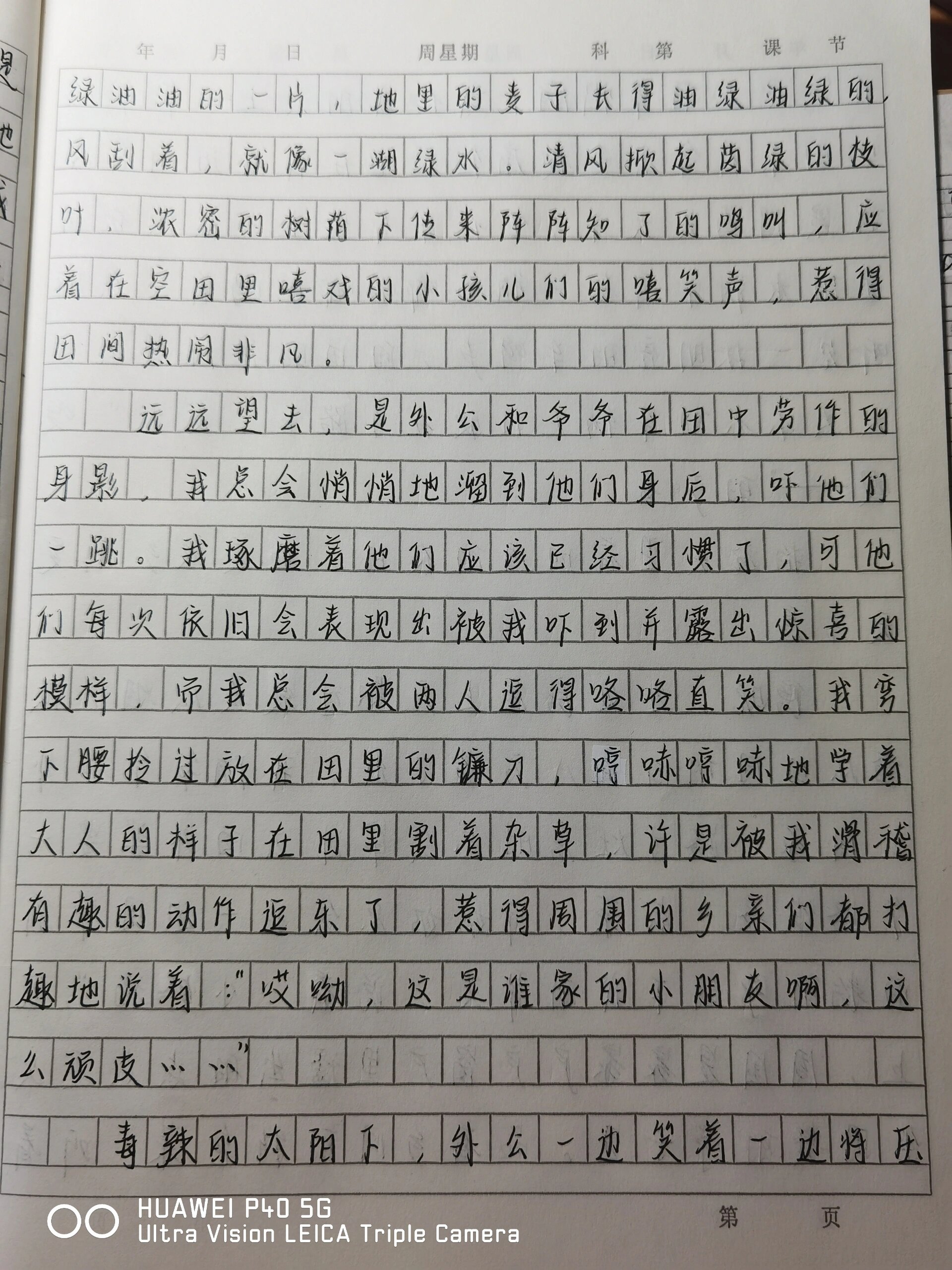 作文《故乡之夏》