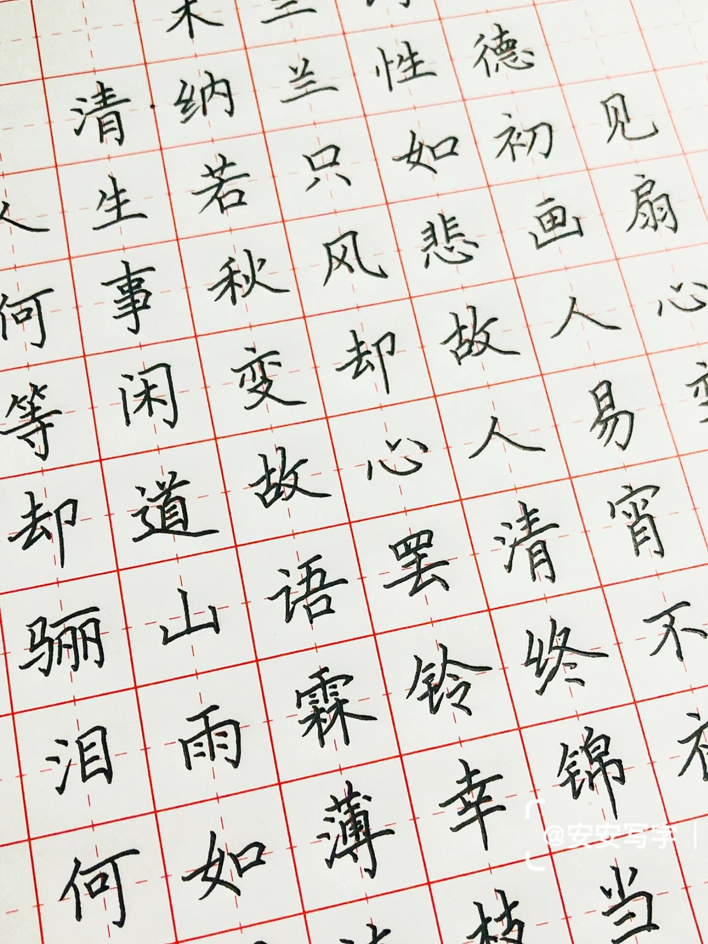 安安写字丨硬笔书法 古诗词《木兰词