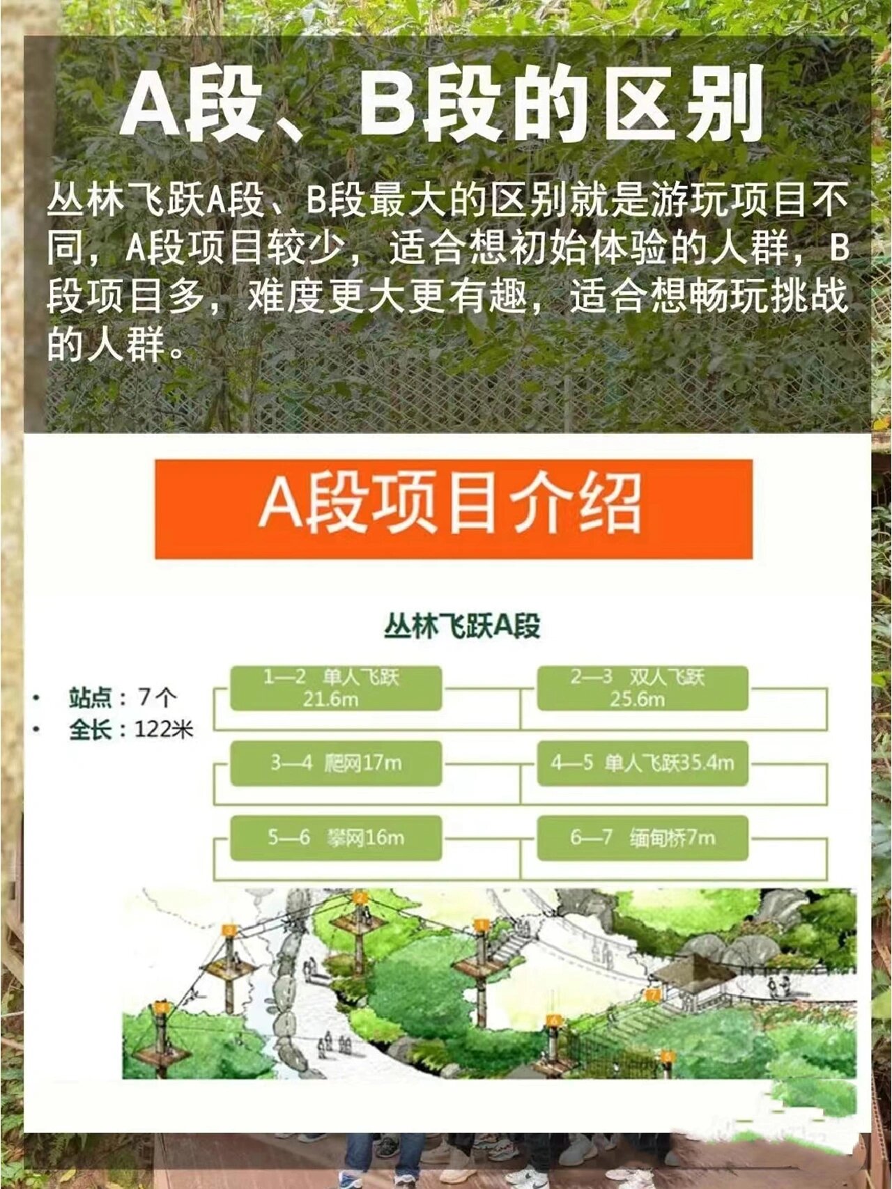 丛林飞跃介绍图片