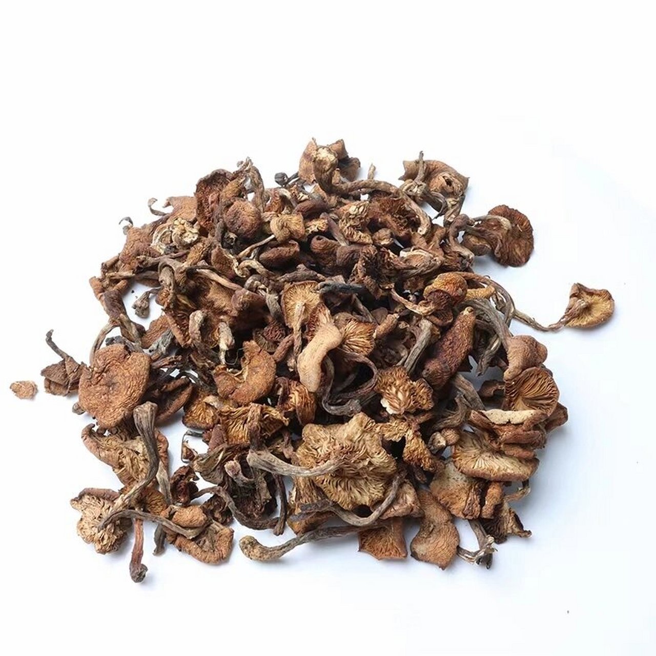 东北特产之:长白山野生蘑菇 榛蘑,元磨,猴头菇等,来自大自然的馈赠