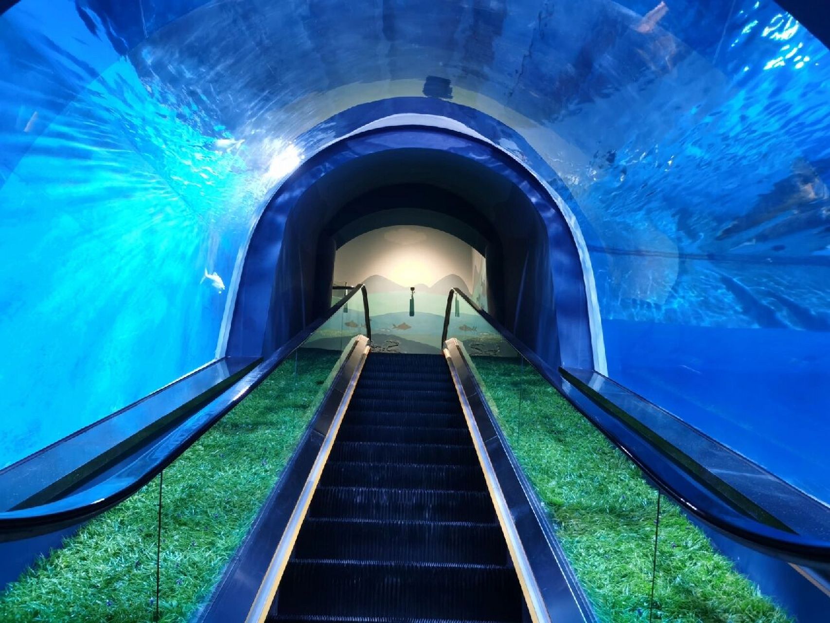 湖口长江鄱阳湖水生基地 水族馆(湖口长江鄱阳湖水生基地)遛娃日常