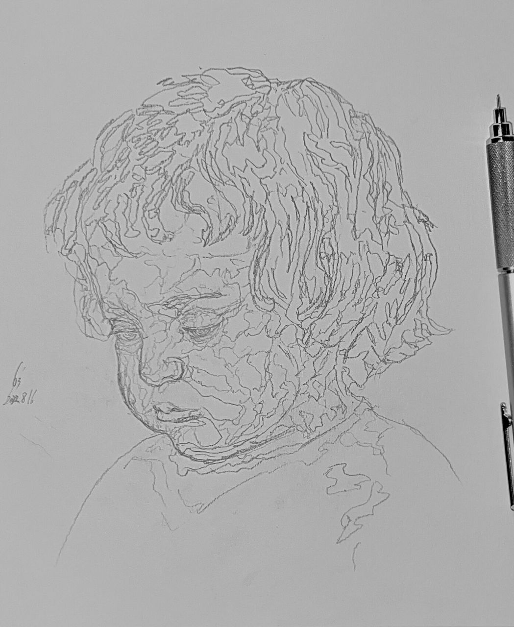 变异尸斑(白化品种小僵尸) 编?