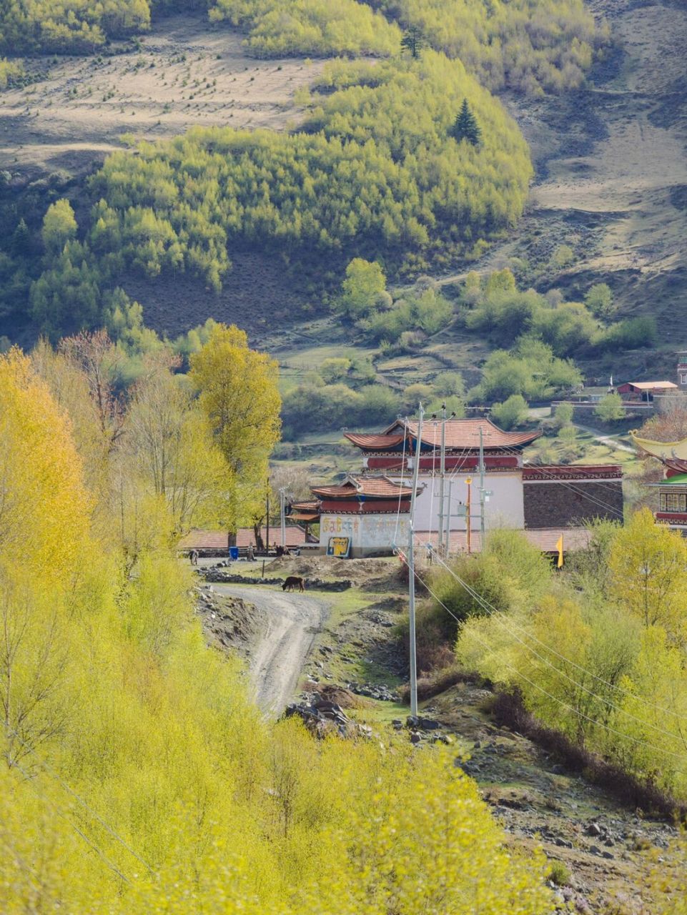 除了绝美的广阔风景,路边随处也可以找到美好的平凡风景,坐下来野餐