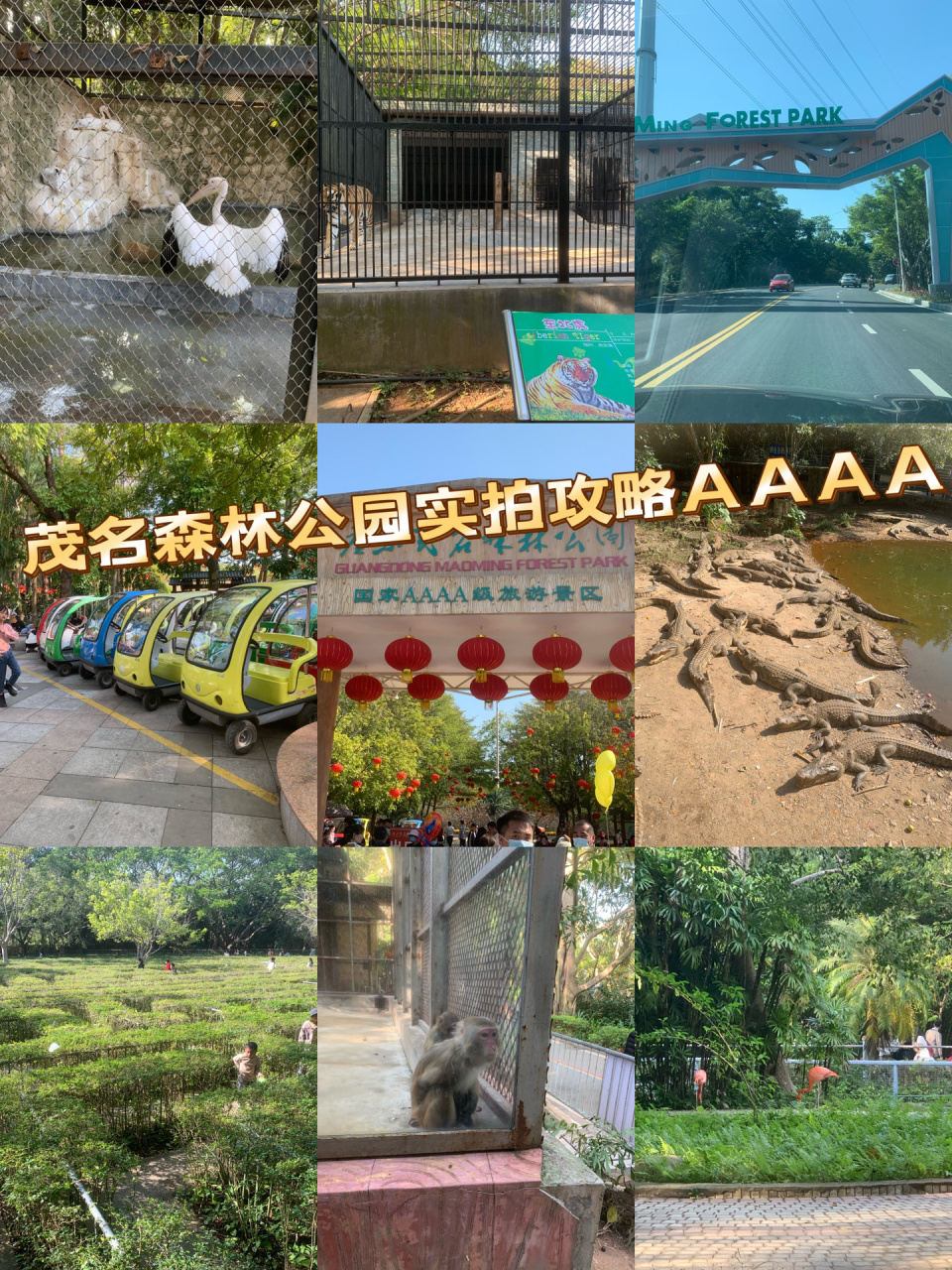 茂名森林公园自驾游实拍攻略2022.1.