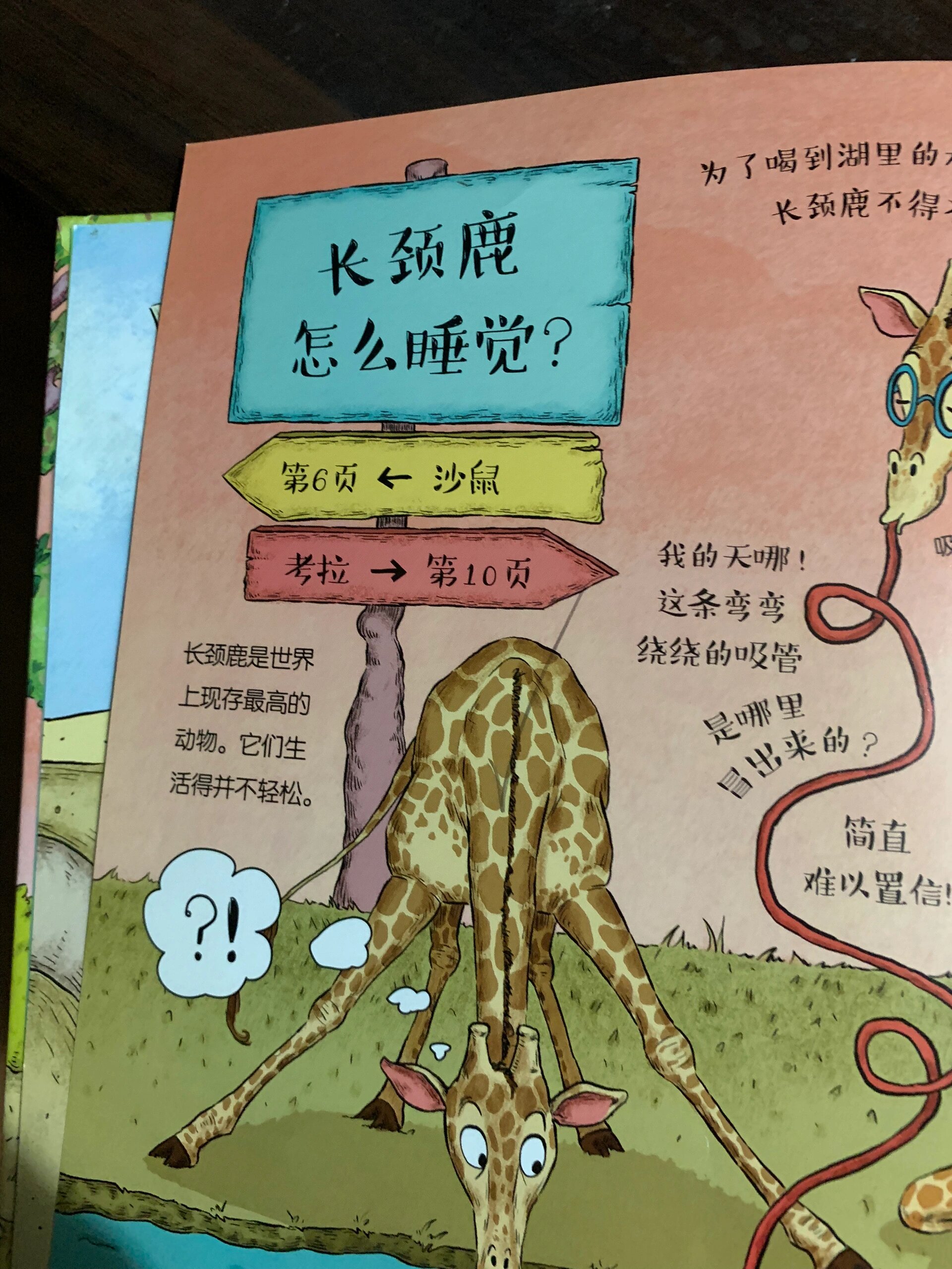 作为成年人,我真的不知道长颈鹿是怎么睡觉