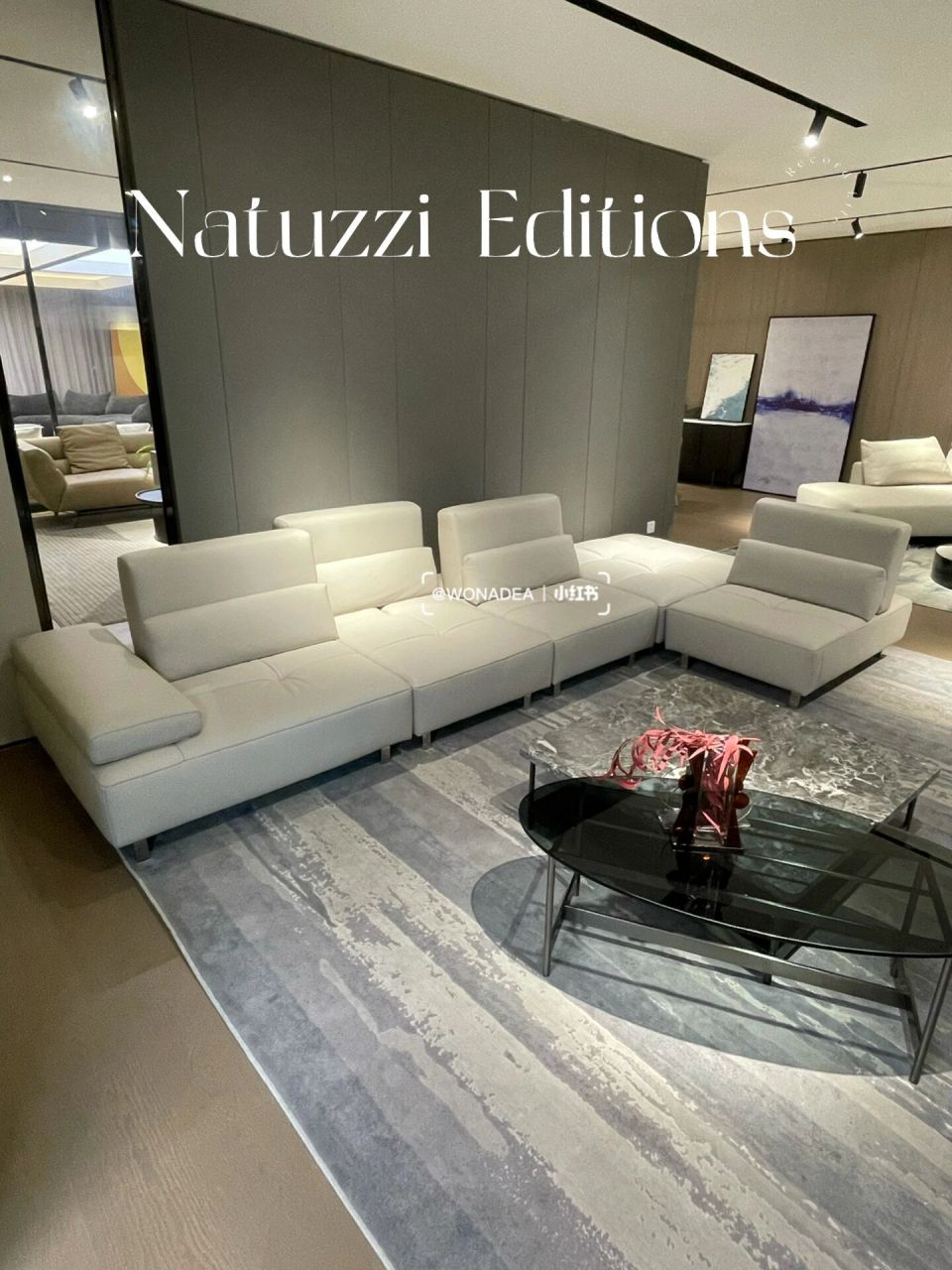 呼声醉高的natuzzi 纳图兹意迪森沙发来啦!